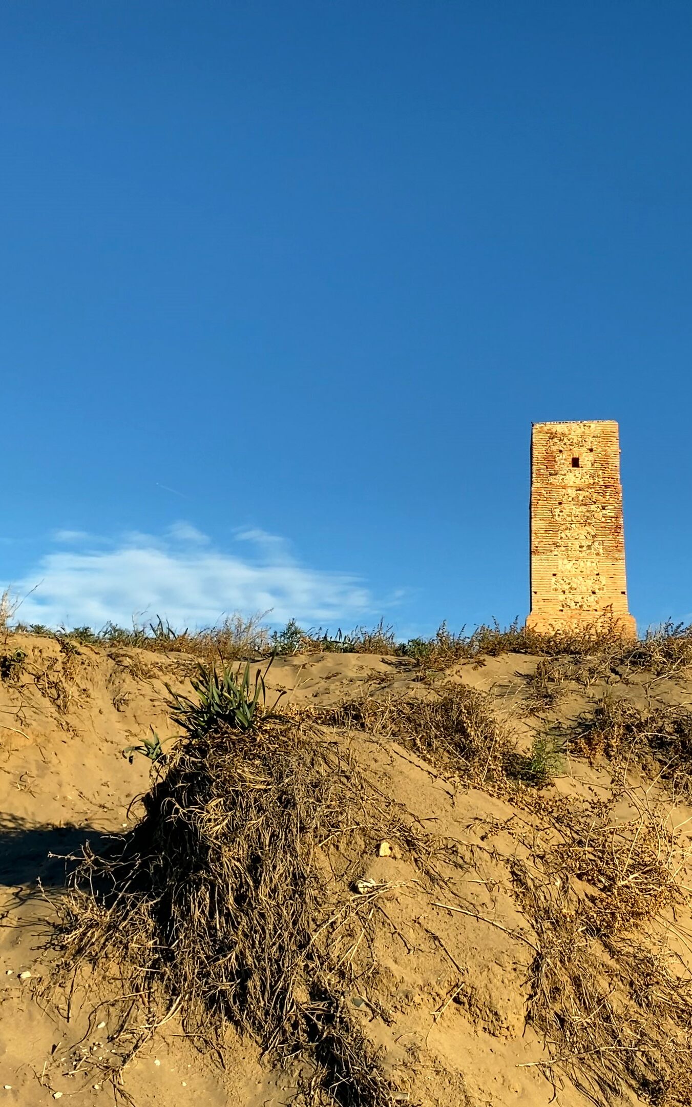 The protected natural area of Dunas de Artola, near Cabopino Beach, Marbella, Spain